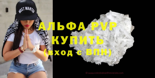 ПСИЛОЦИБИНОВЫЕ ГРИБЫ Няндома