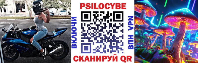 Купить  Рузаевка  Псилоцибиновые грибы Magic Shrooms 